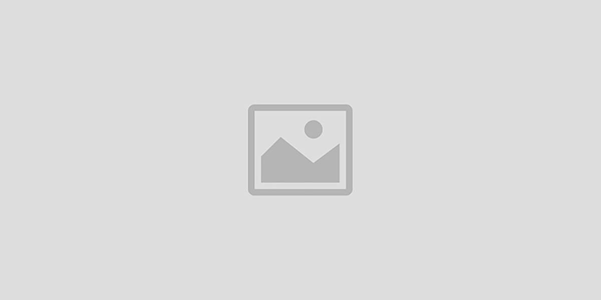 Sheba Electronics
